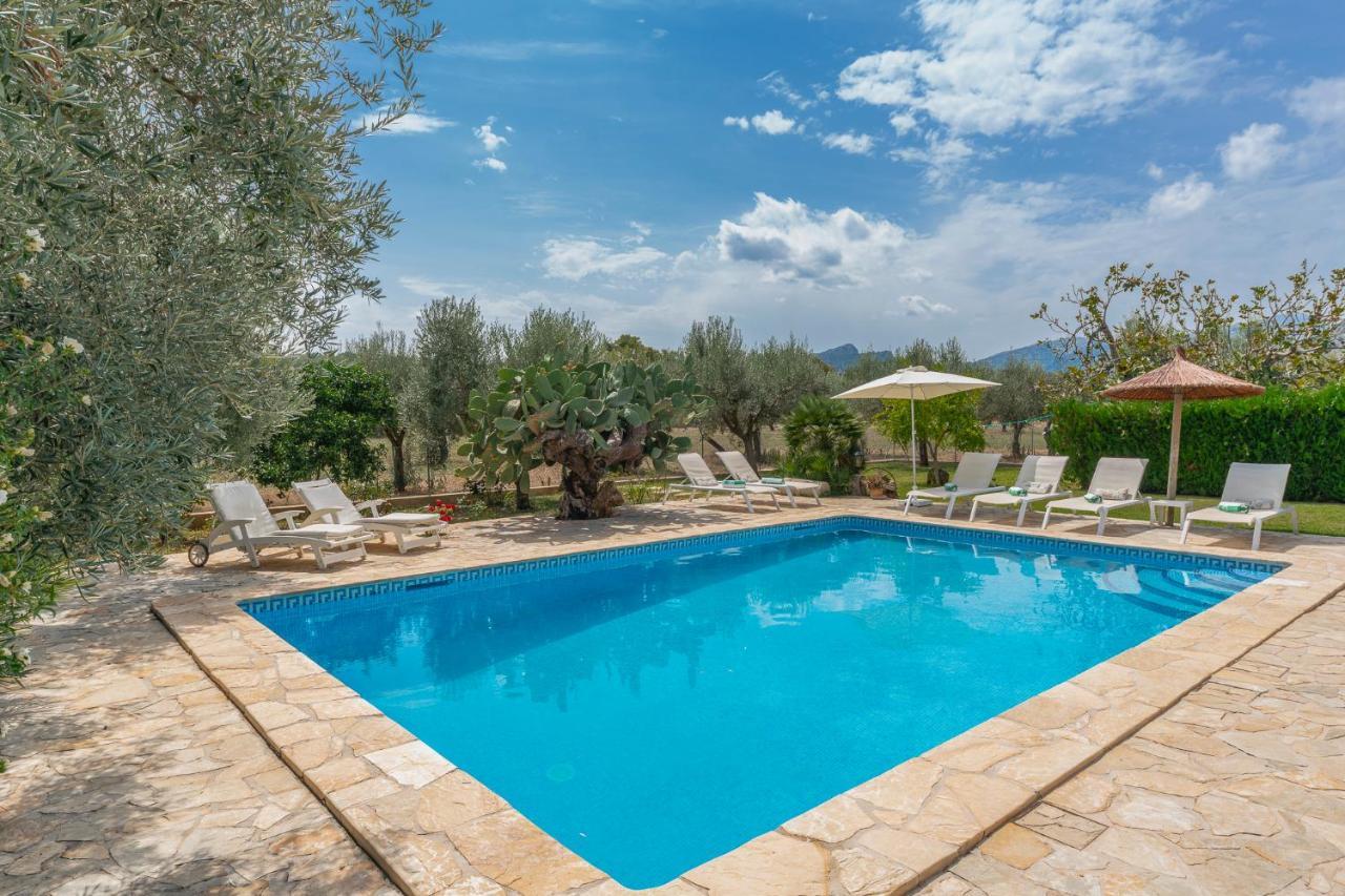 Finca La Vinya