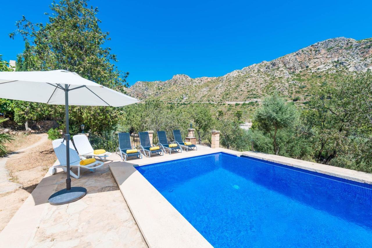 Villa Sa Tarongera Andratx (Andrach)