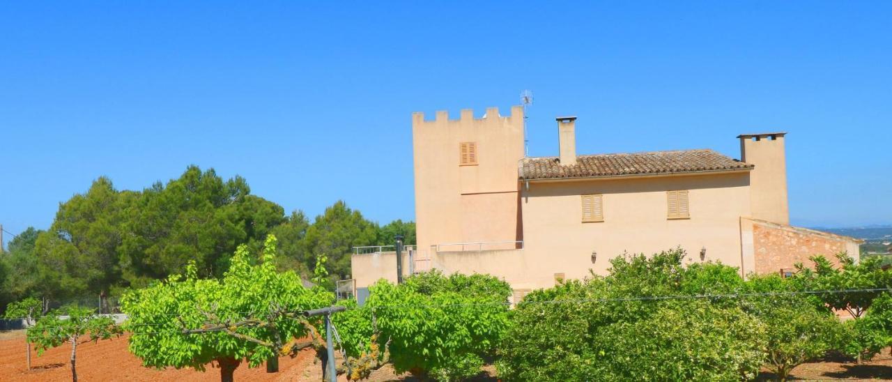 Villa Palea *