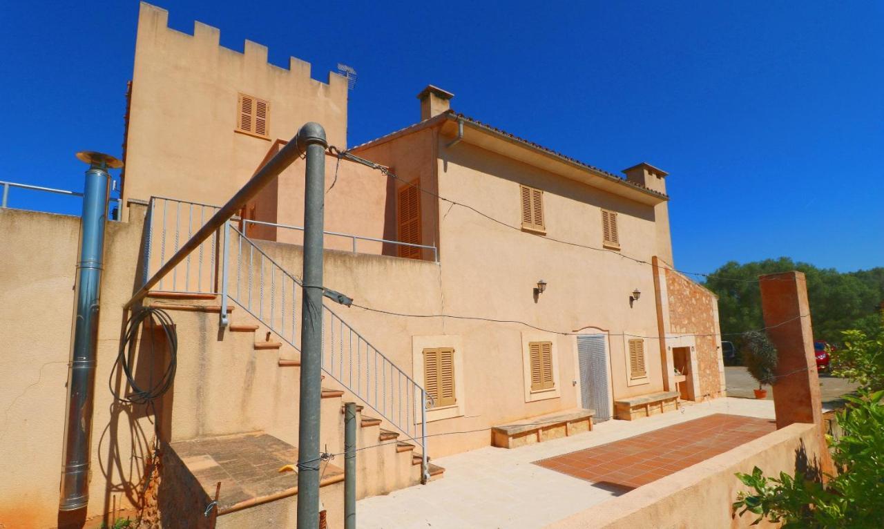 Palea * Campos (Mallorca)