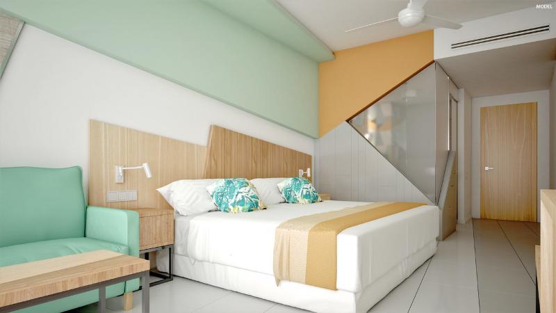 Riu Playa Park Hotel