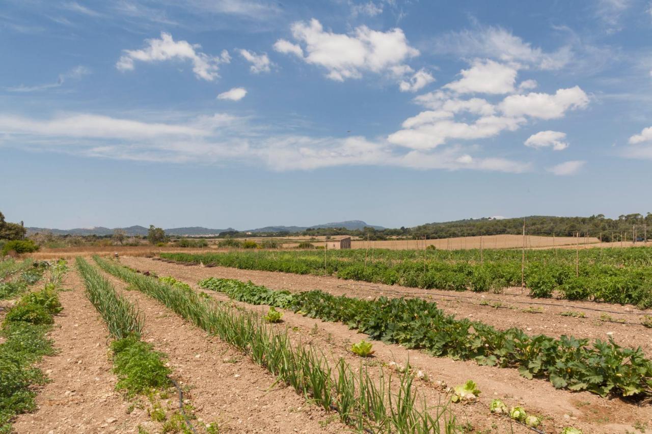 Son Roig By Valentin Country house