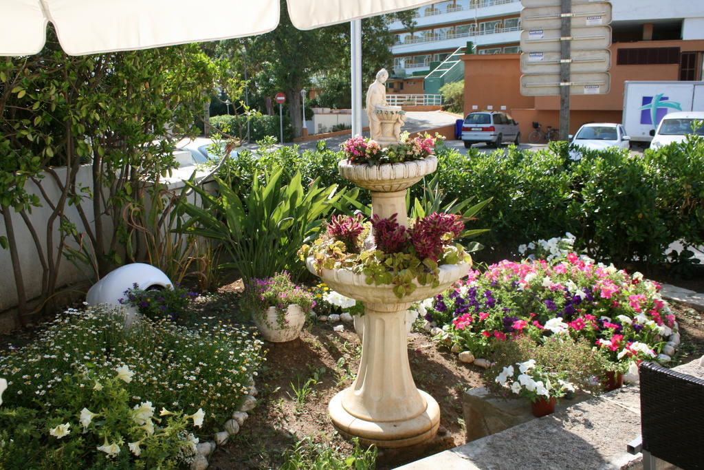 Apartamento Don Miguel Puerto Pollensa