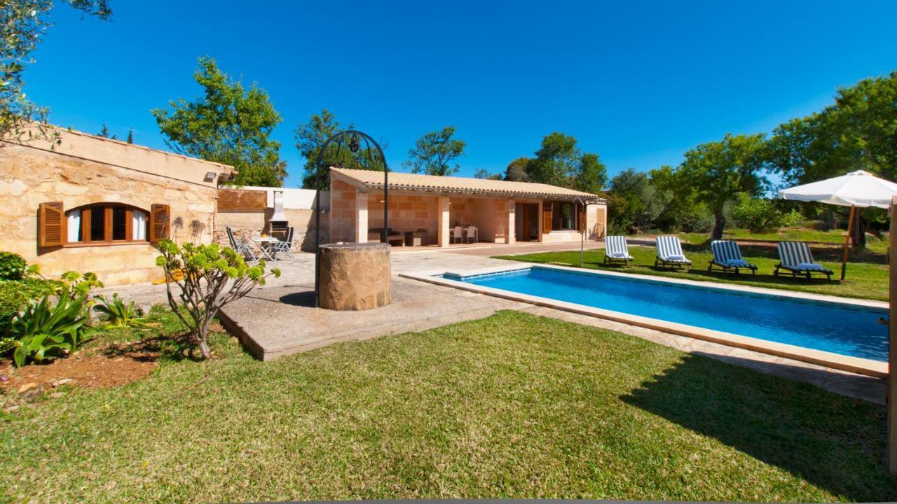 Els Olivers / Olivers Petits * Alcudia (Mallorca)