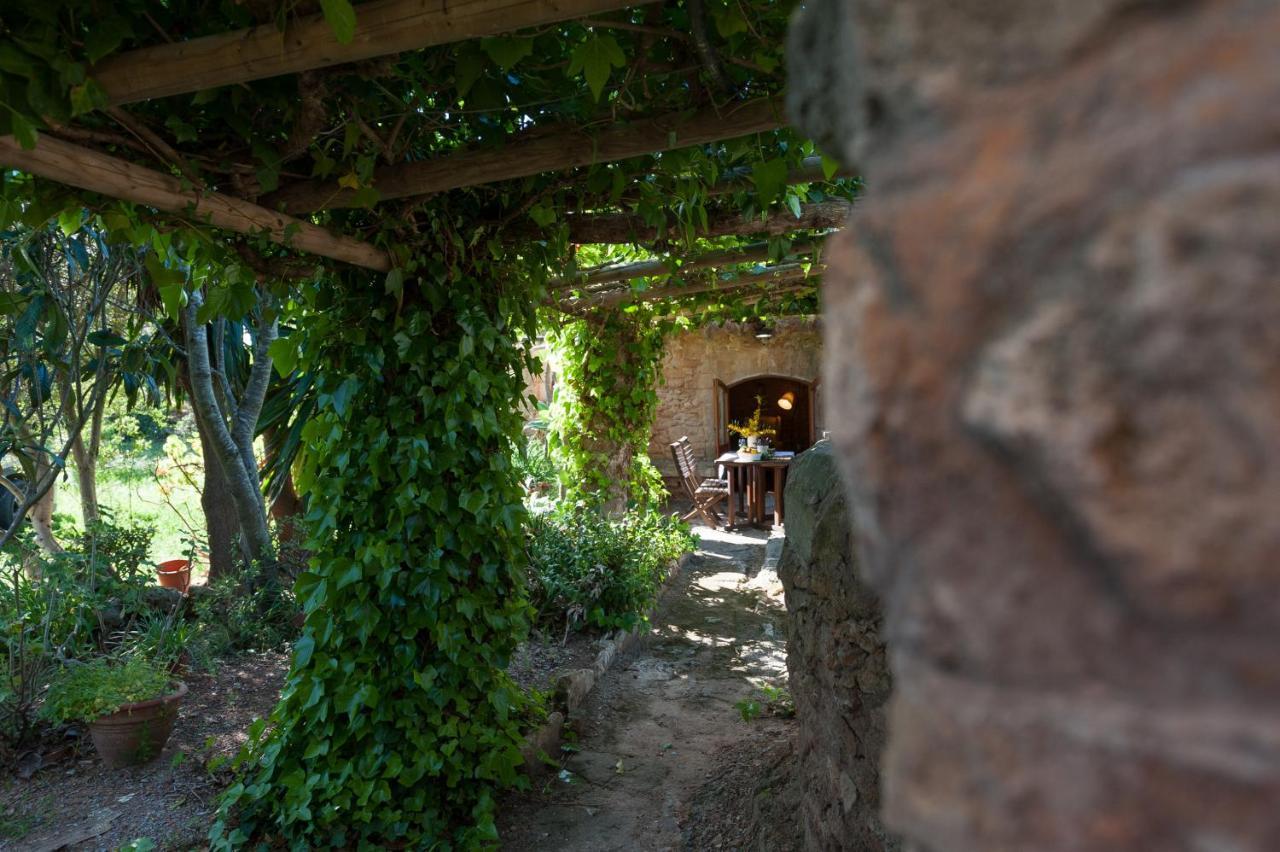 Els Olivers / Olivers Petits Alcúdia