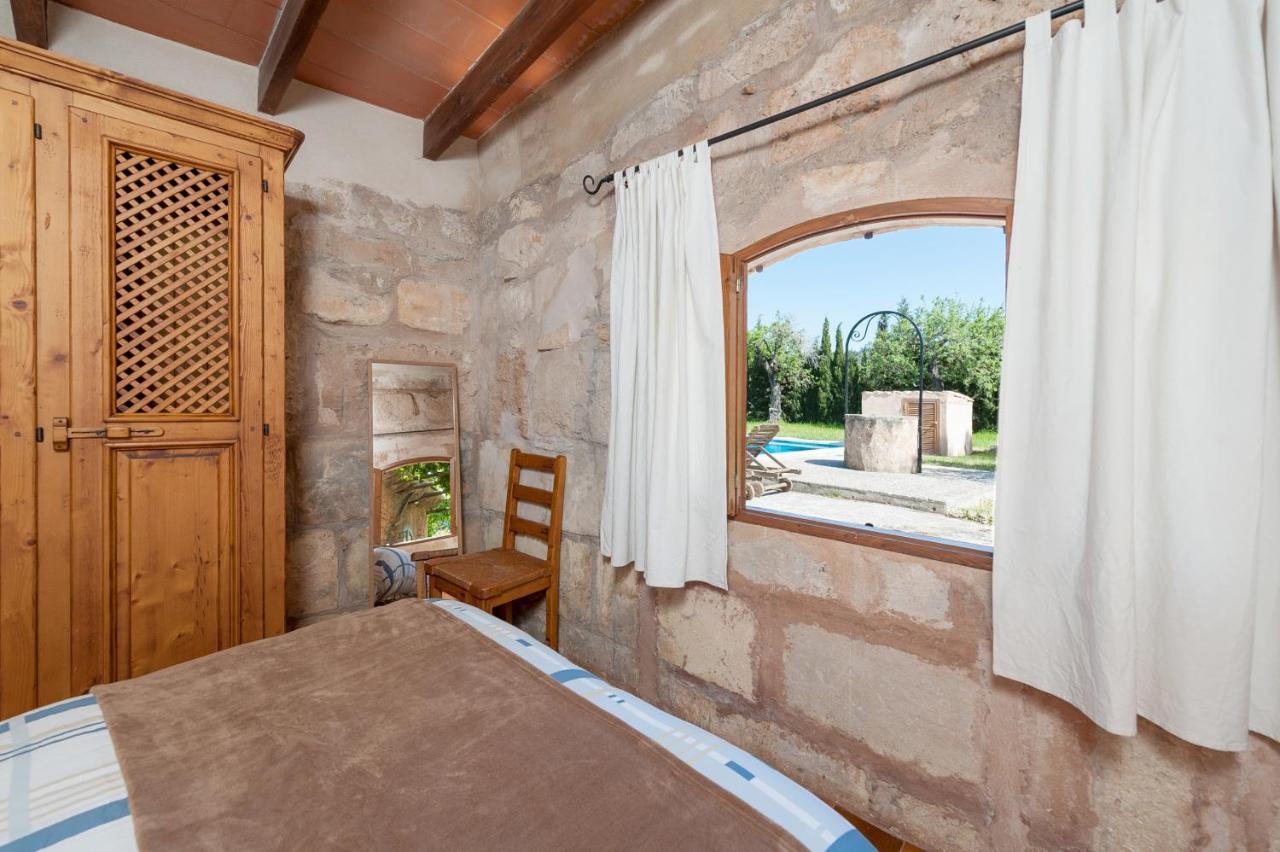 Els Olivers / Olivers Petits Alcúdia
