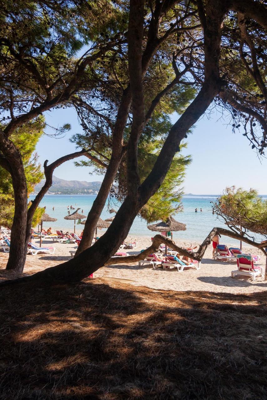 Apartment Alarden Port de Alcudia (Mallorca)