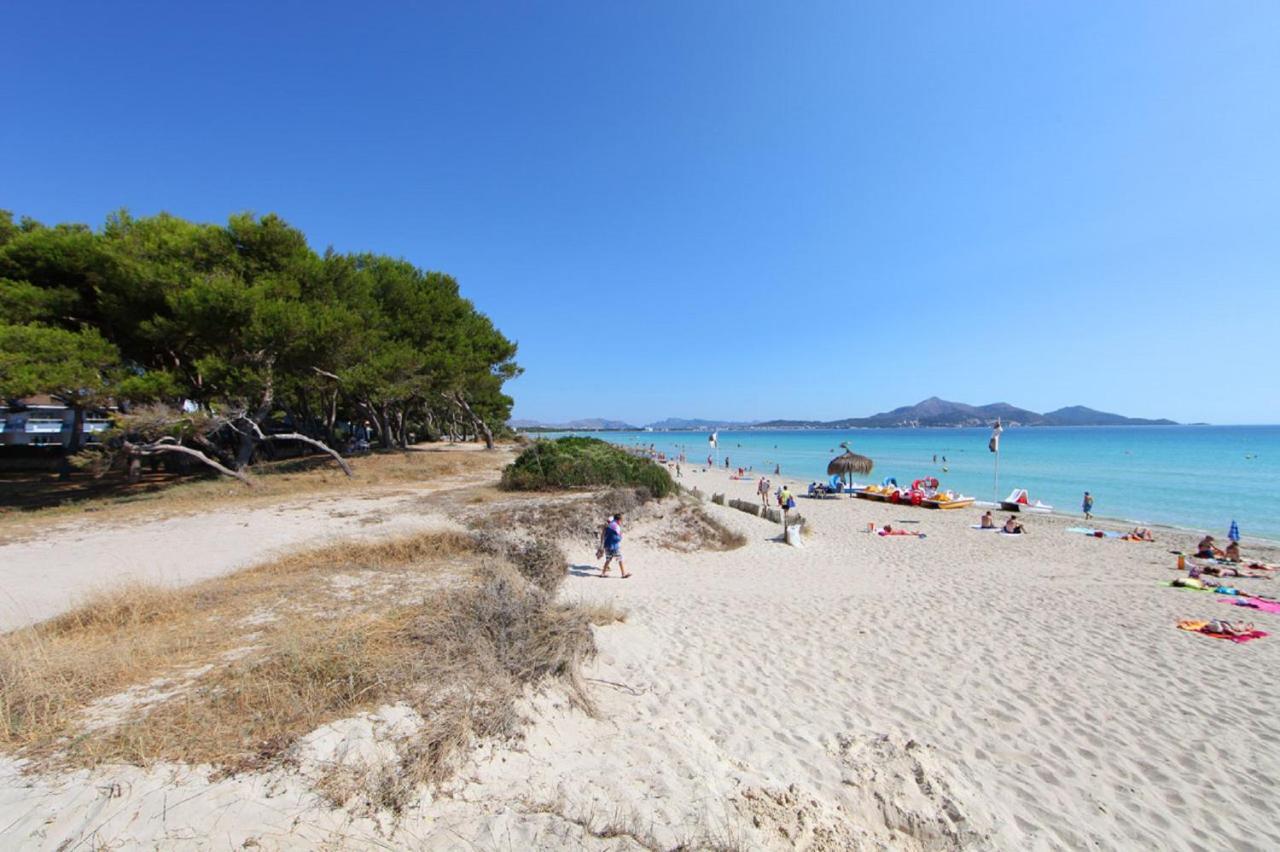 Owl La Marina - Enjoy Life By The Sea