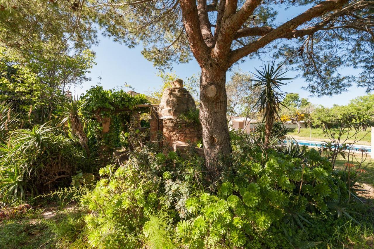 Els Olivers / Olivers Petits Villa *