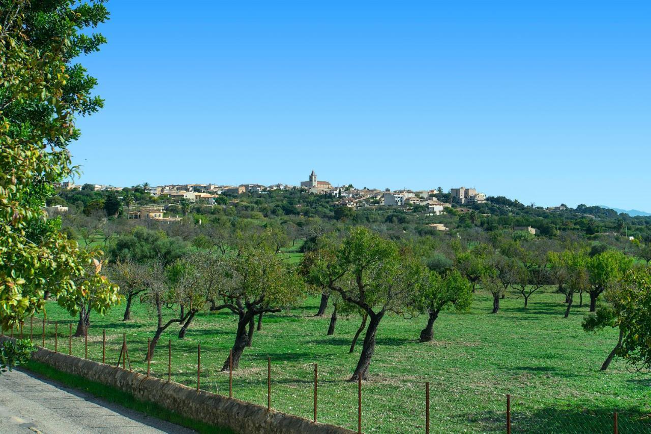 Villa Owl Alqueria Alt - Fantastic Mountain Views *