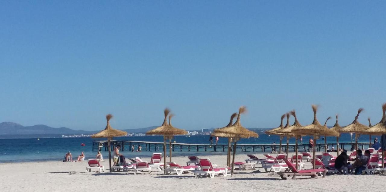 Rosmare Alcúdia
