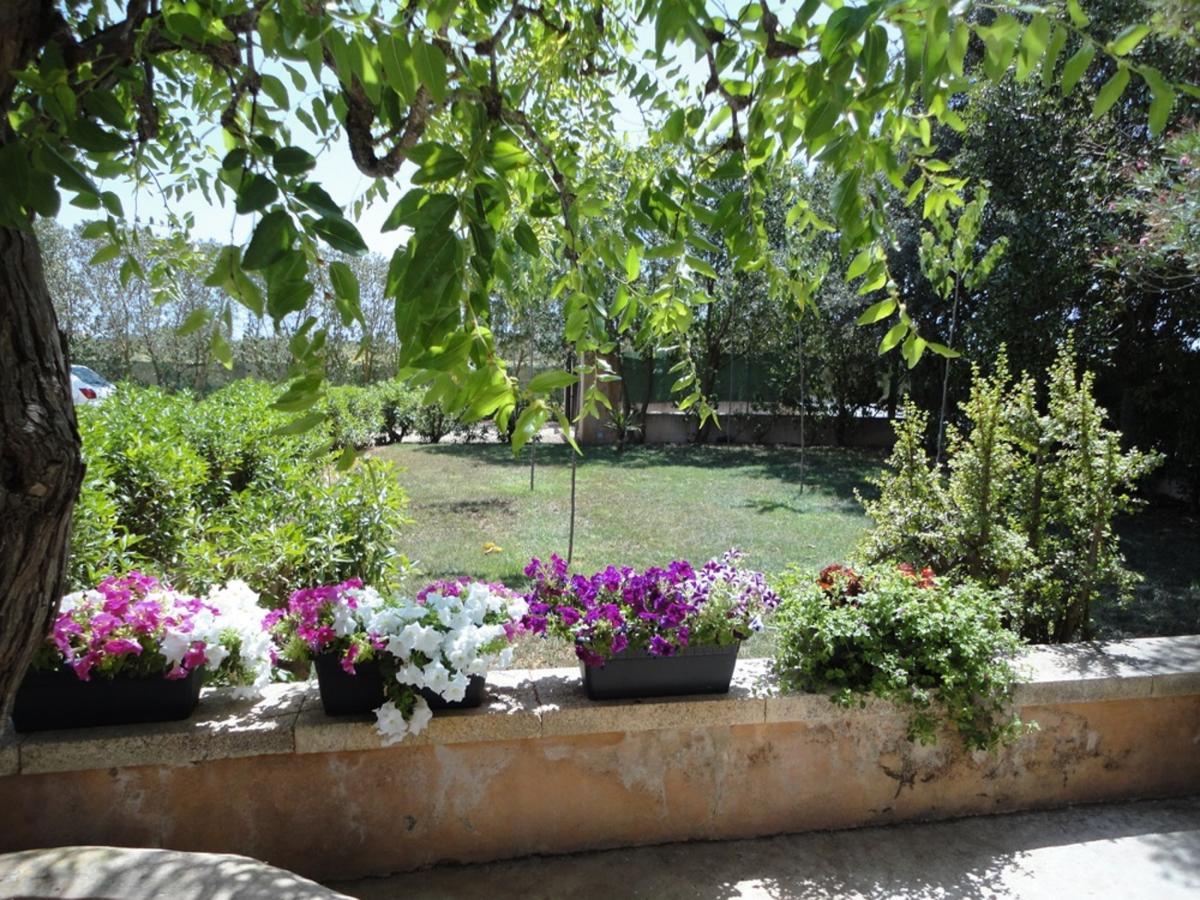 Roques Blanques * Campos (Mallorca)