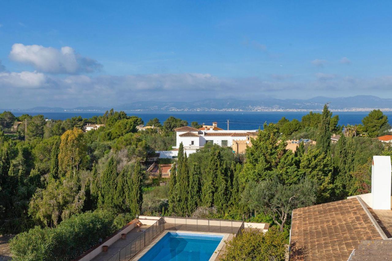 Lirica * Llucmajor (Mallorca)