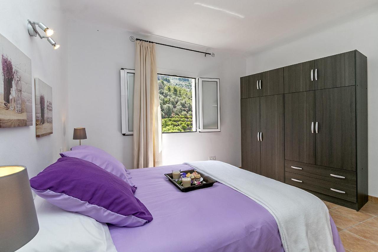 Town House Cas Decu