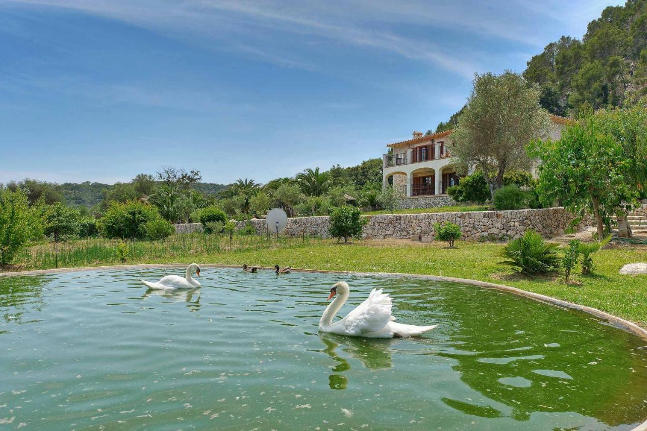 Villa Plomera *
