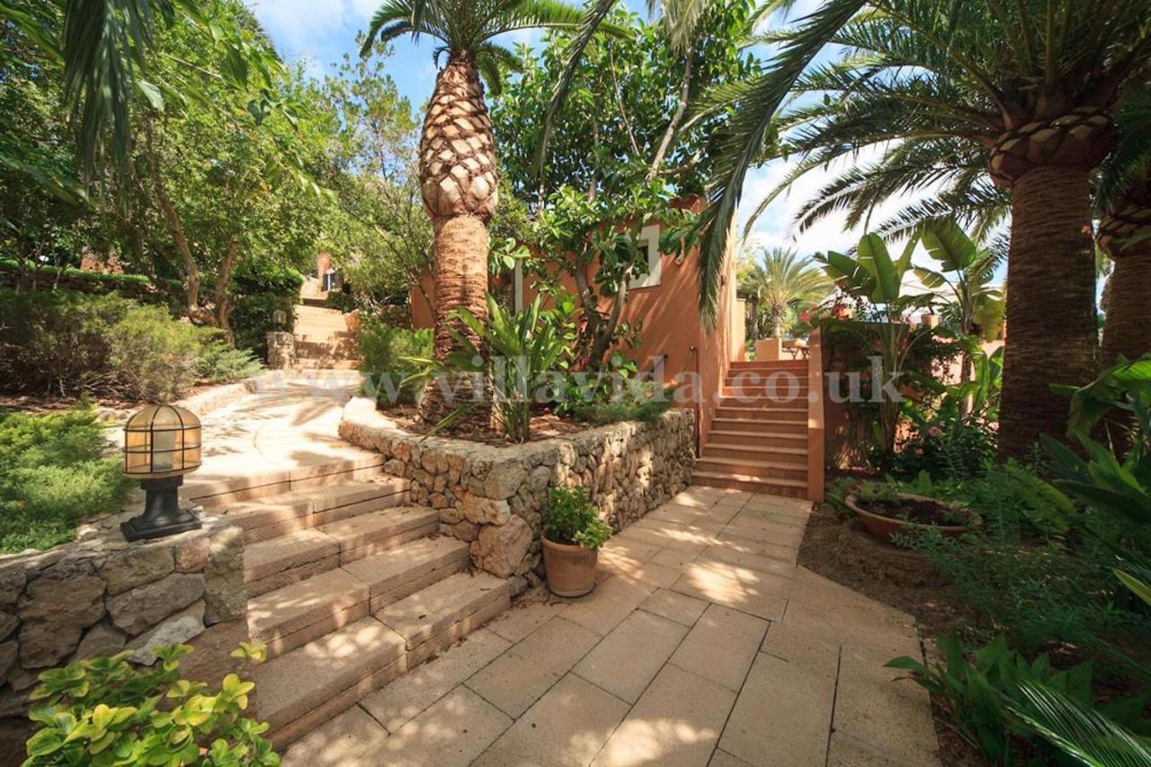 Palmeras Villa *