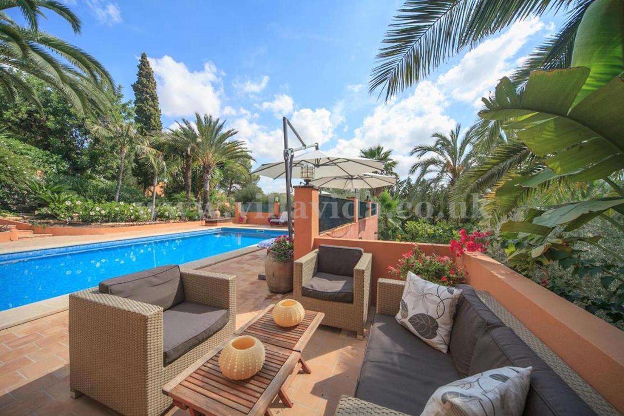Palmeras Villa Pòrtol