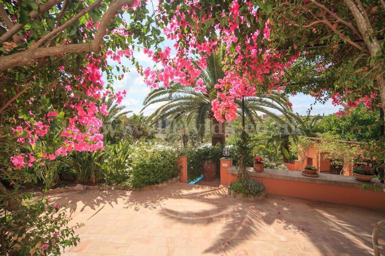 Palmeras Villa