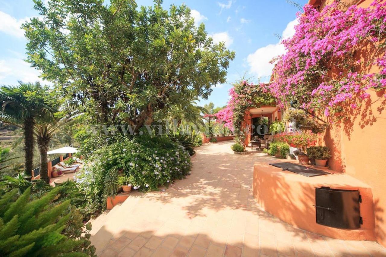 Palmeras Villa