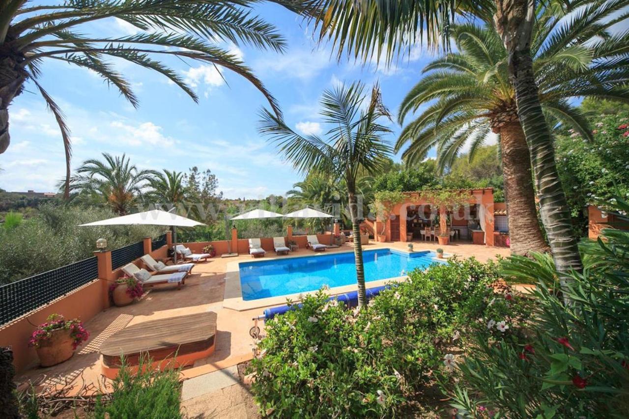 Palmeras Villa Pòrtol