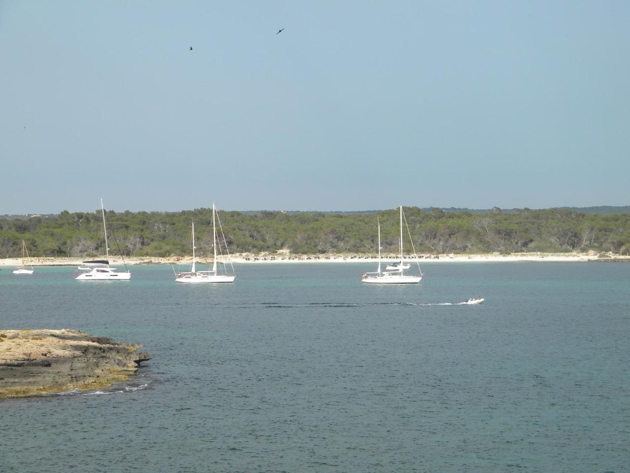 Romani * Colonia de Sant Jordi
