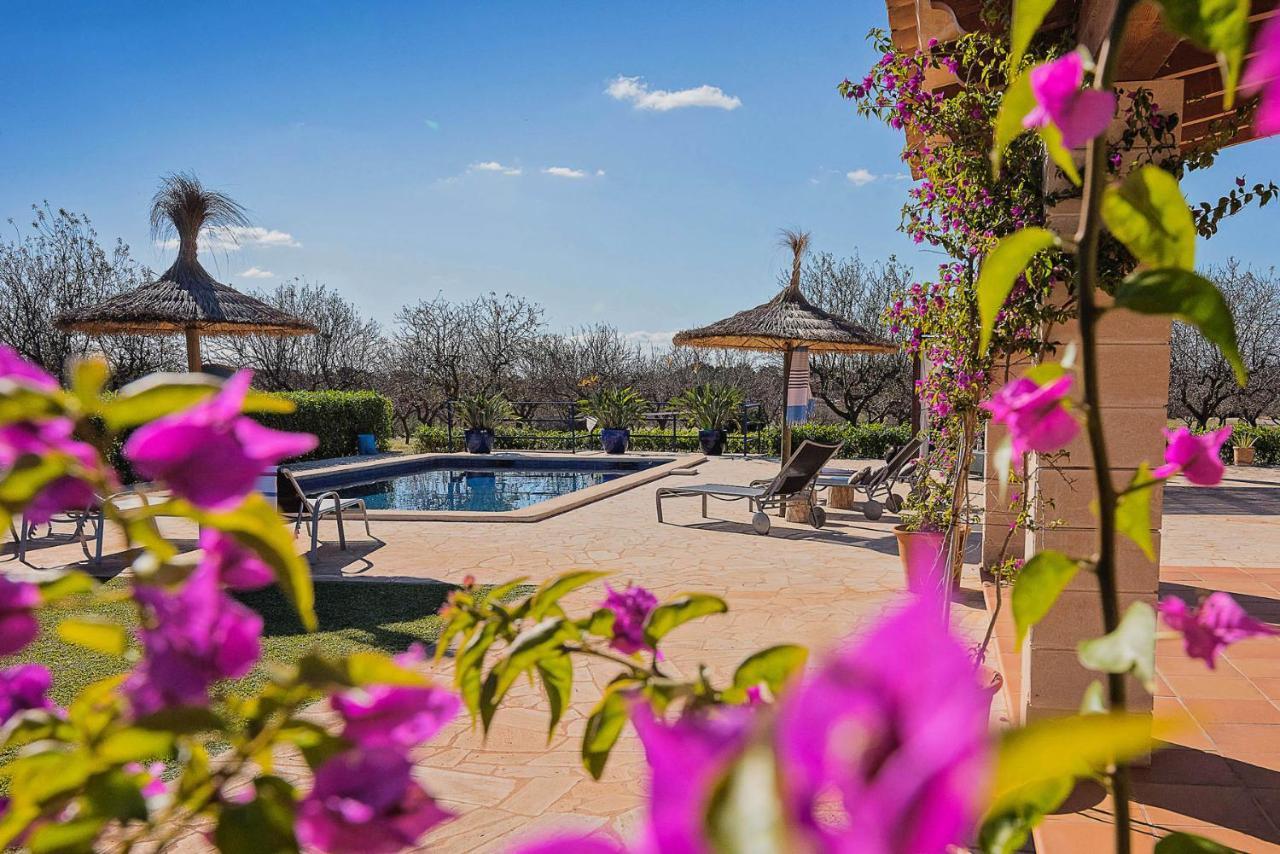 Finca Ses Figueretes Villa *