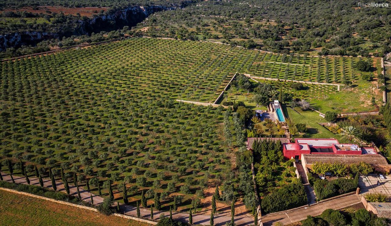 Son Cifre Manacor Сasa de vacaciones