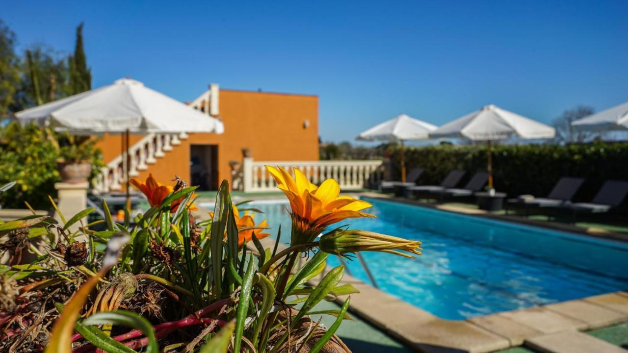 Ses Porrasses Villa *
