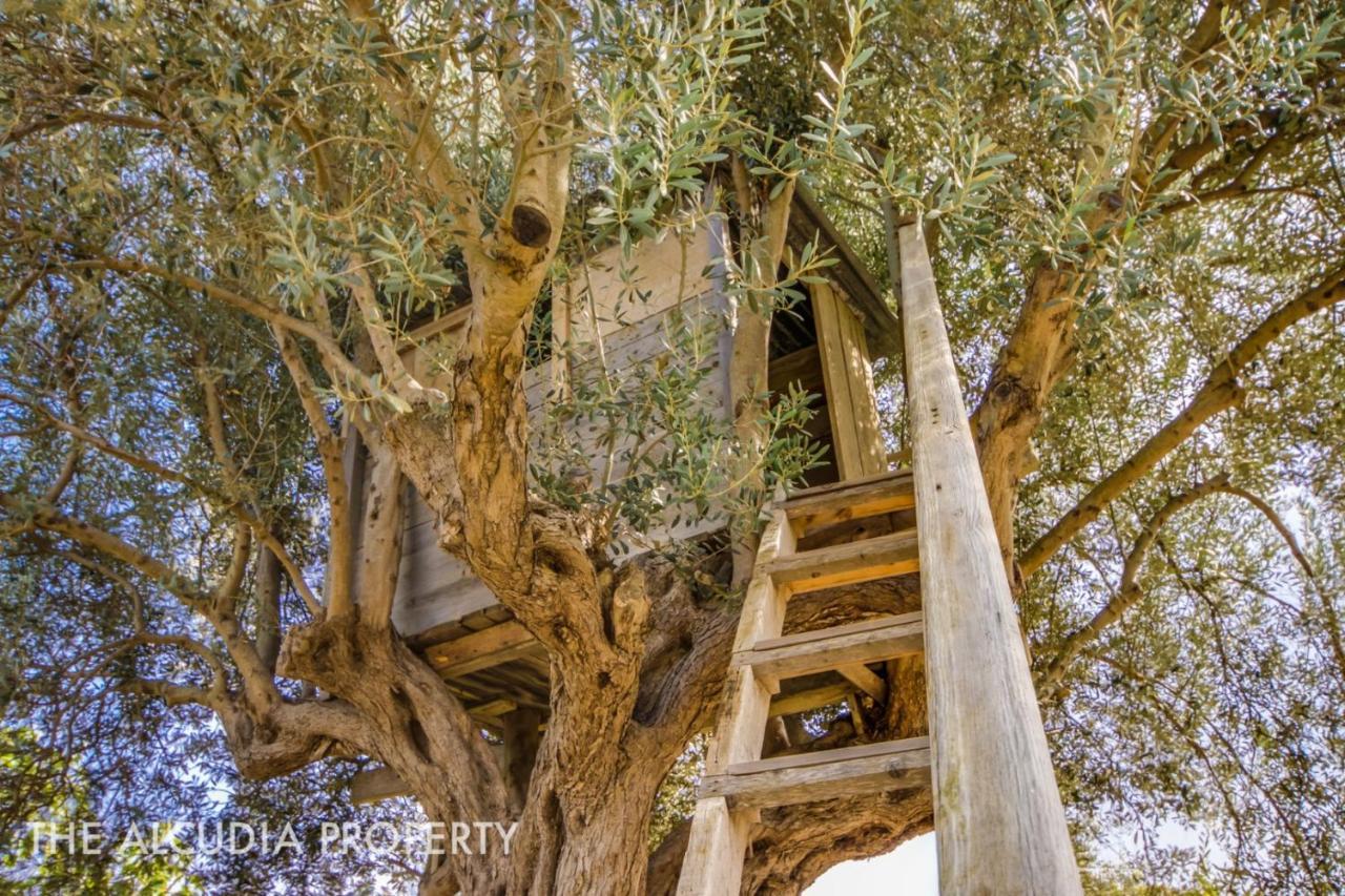 Casa rural Pegasus Alcúdia