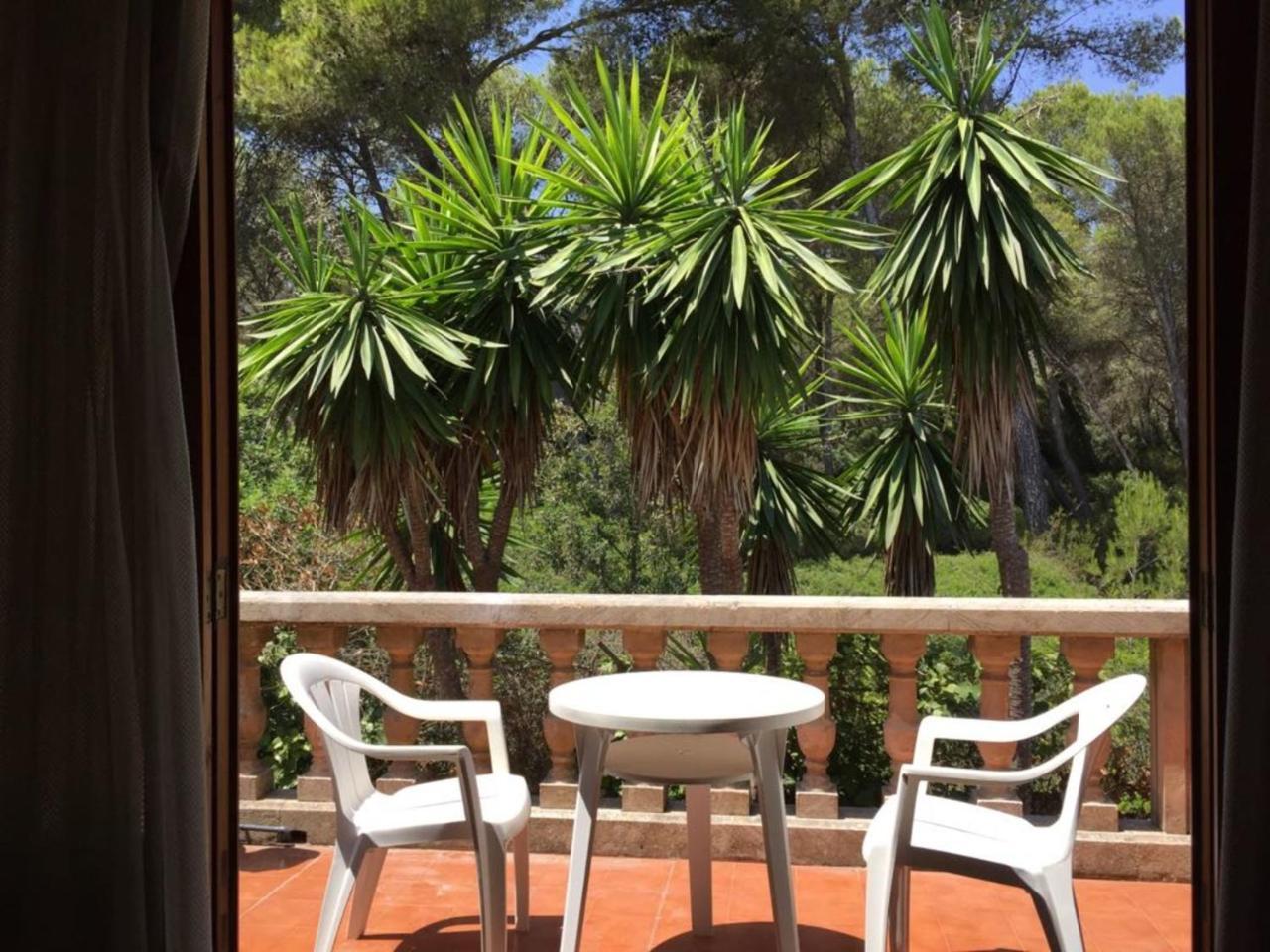 Damar Can Picafort (Mallorca)