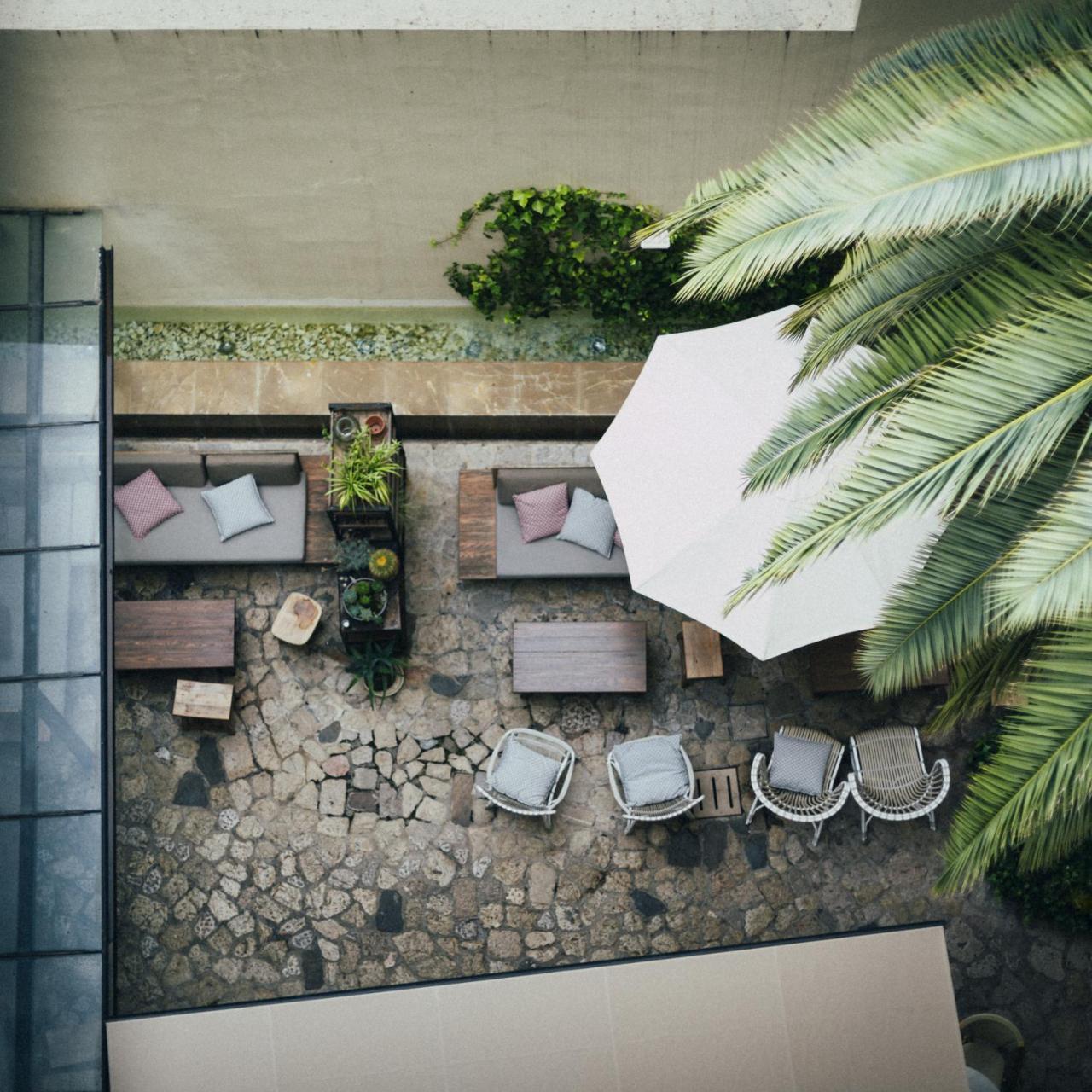 Hotel Petit Palace Tres