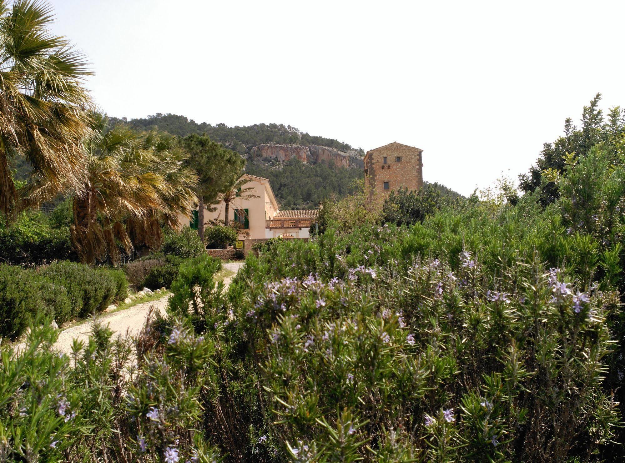 Hotel Son Esteve 3*