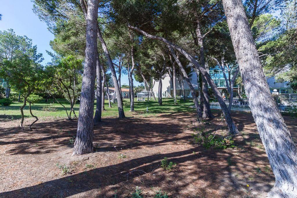 Zafiro Alzina Mar (adults Only) 4* Can Picafort (Mallorca)