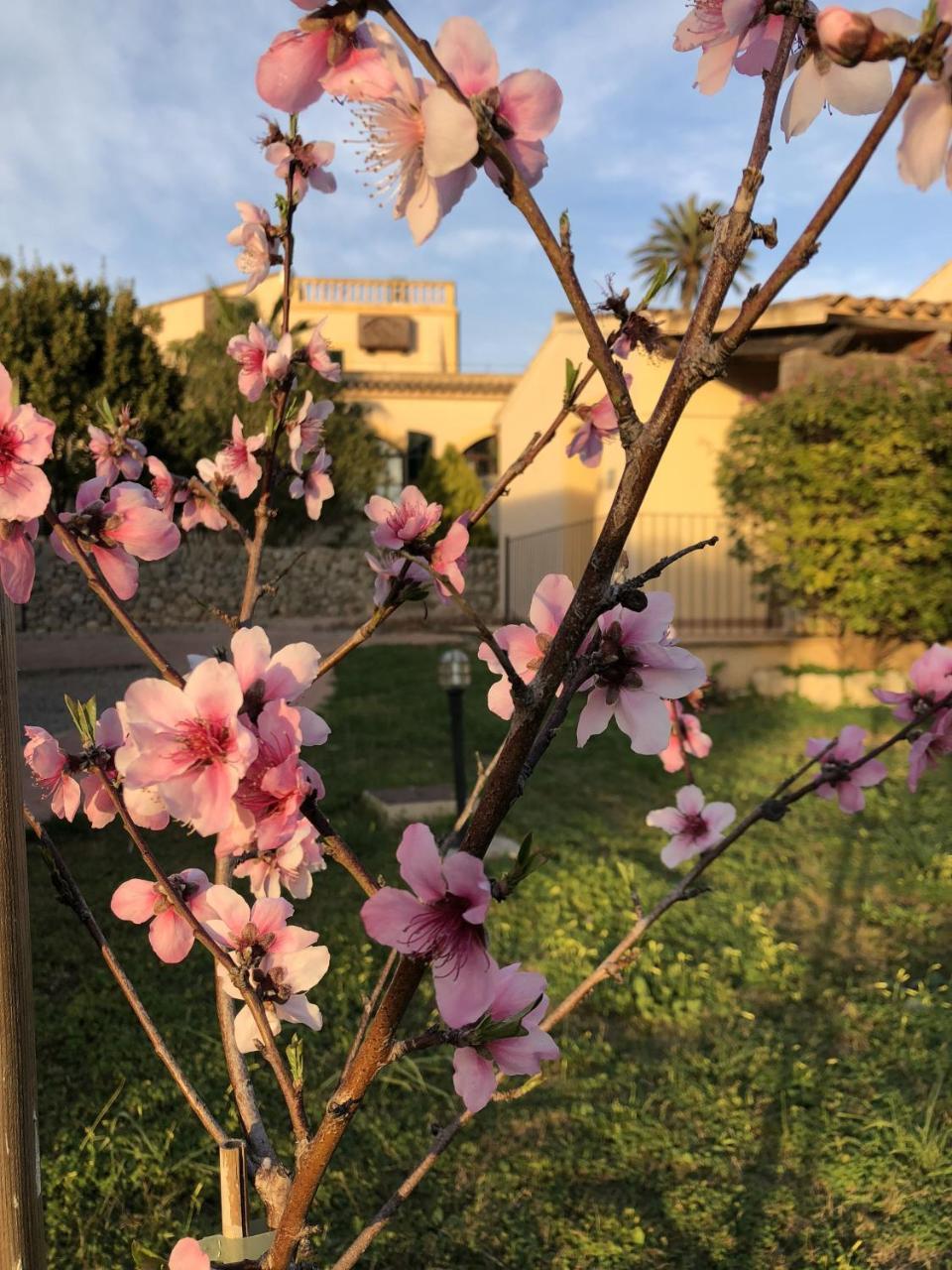 Son Manera Montuiri (Mallorca)