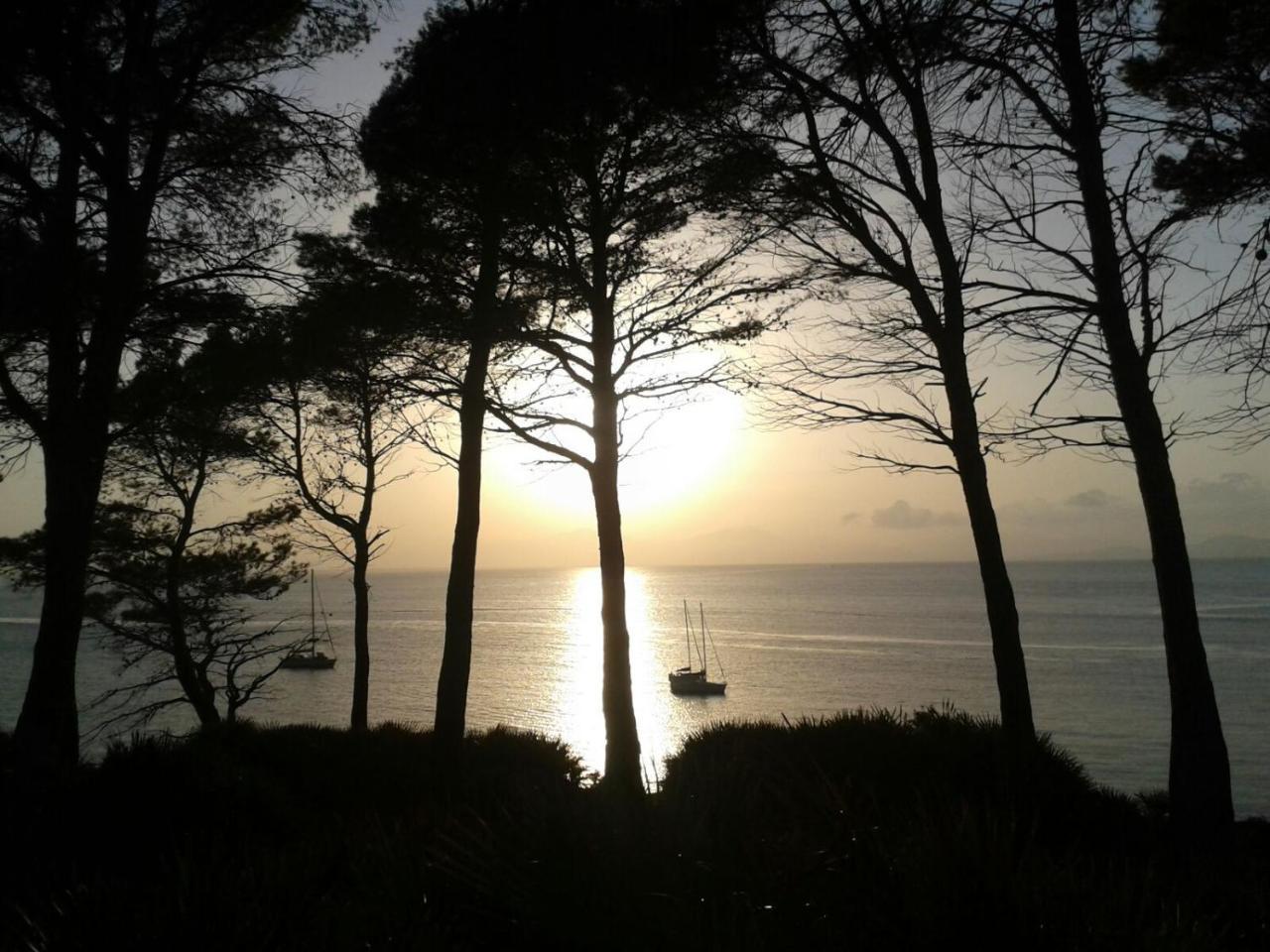 Rosers Colonia de Sant Pere
