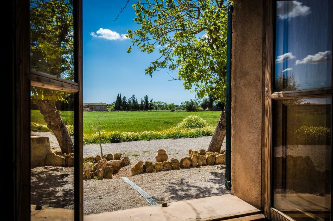 Farm stay Sa Cova Den Borino *