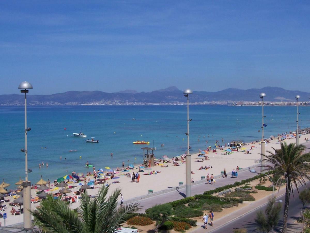 Andrea El Arenal (Mallorca)