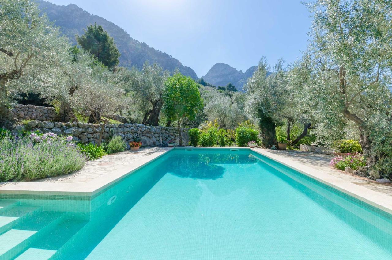Villa S'olivaret