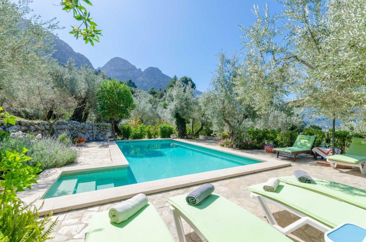 Villa S'olivaret