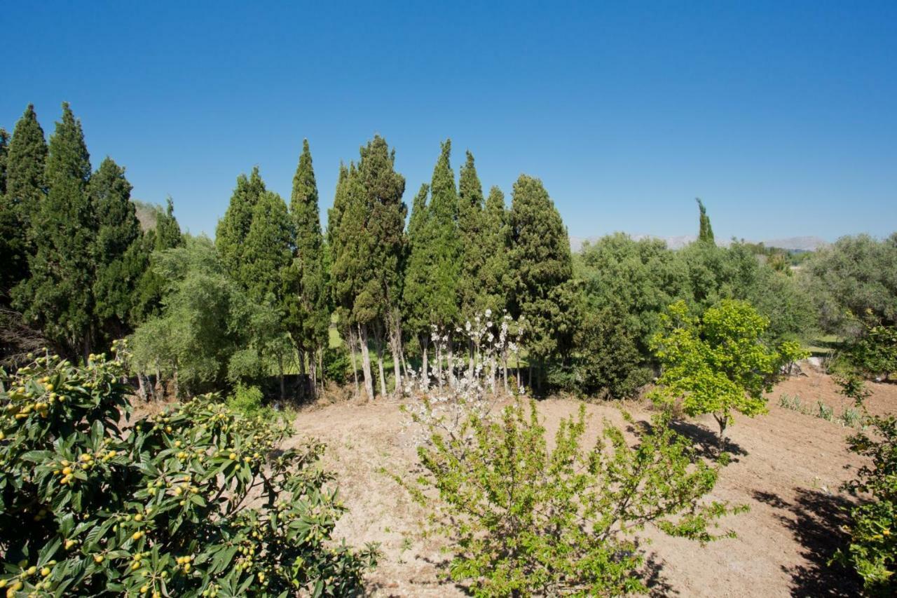 Cifre Villa