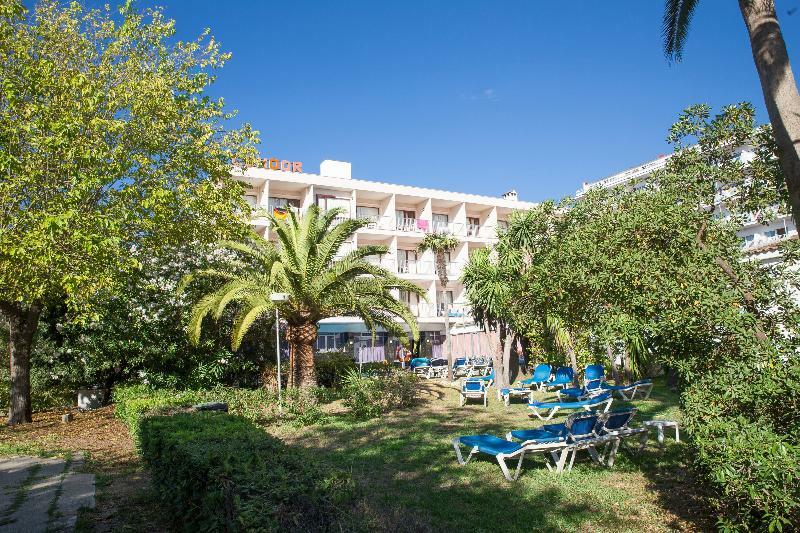 Nura Condor 3*