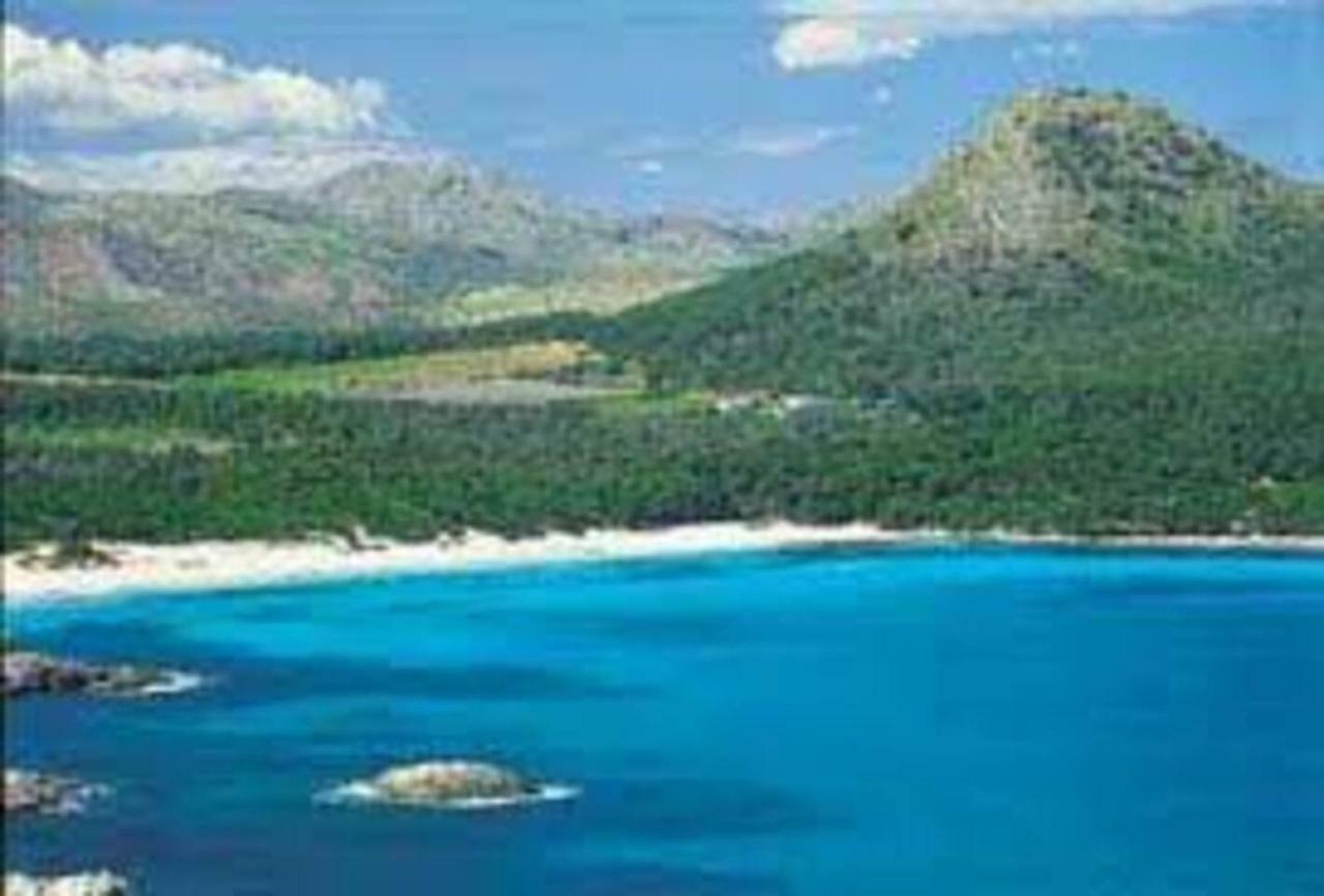 Apartamento Mare Nostrum *