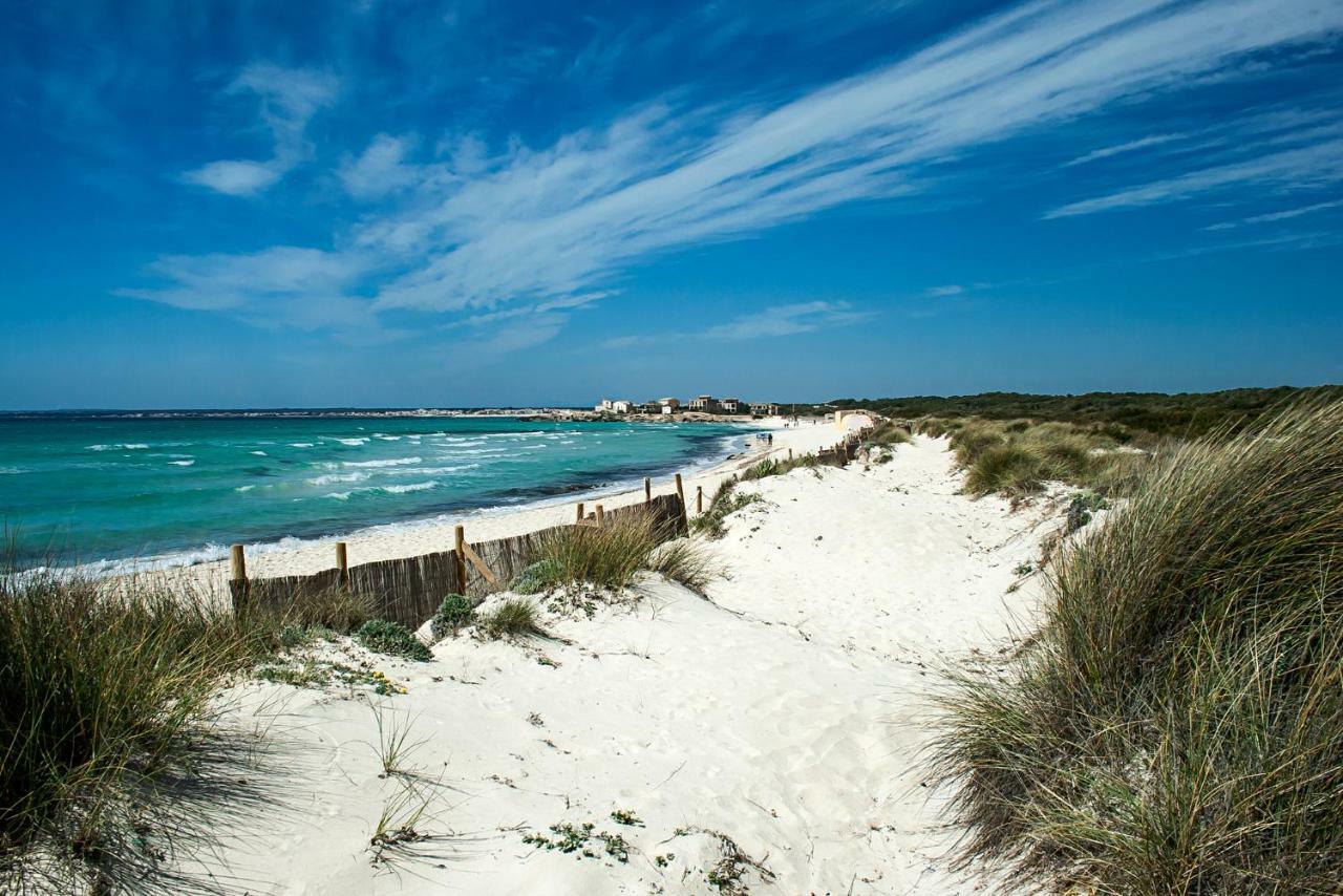 Sa Cova Den Borino Farm stay Campos (Mallorca)