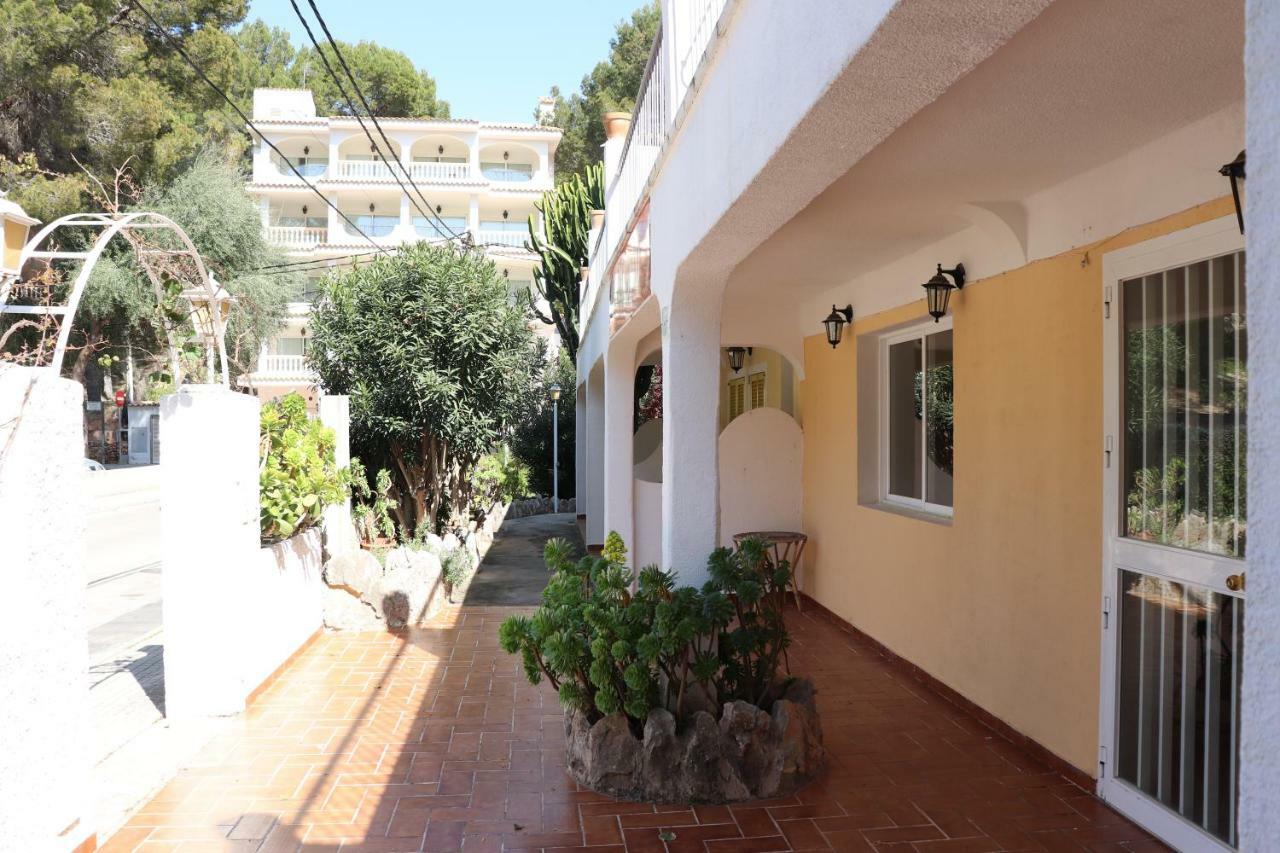 Guest house Flor Amistad