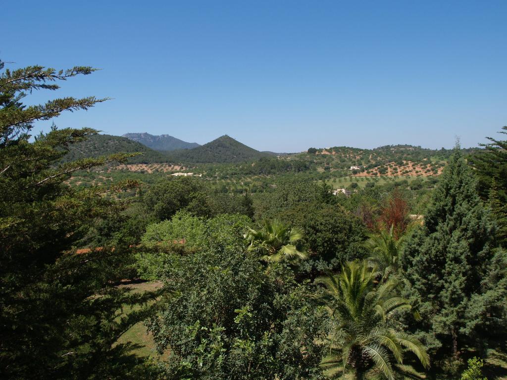 Agroturismo Saigo Country house