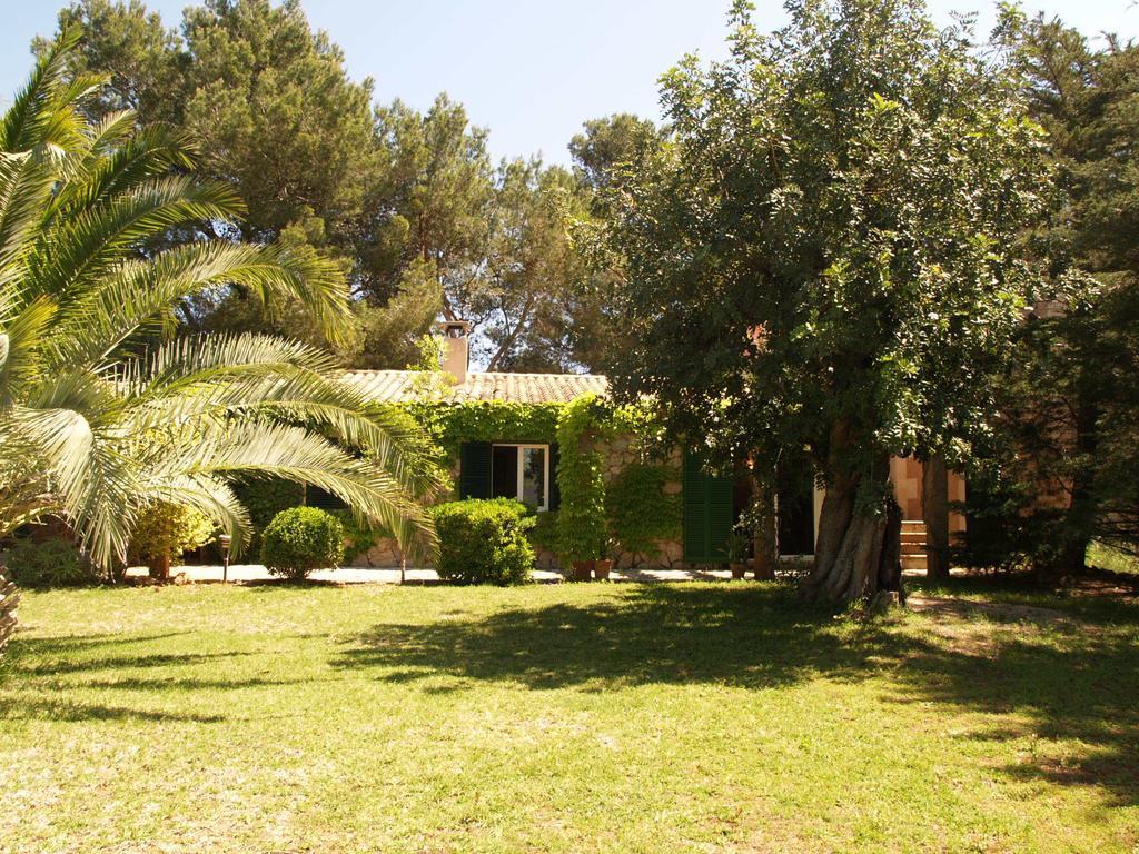 Agroturismo Saigo