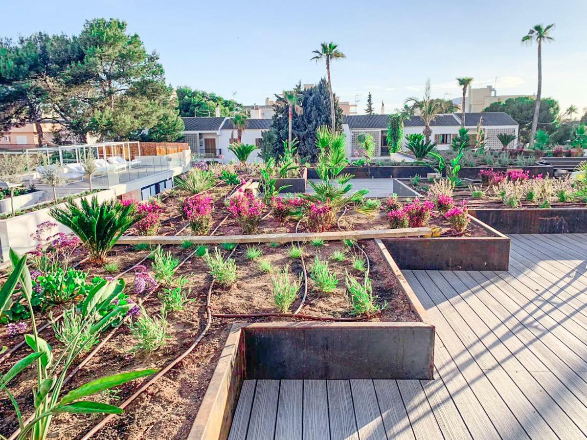 Paradiso Garden