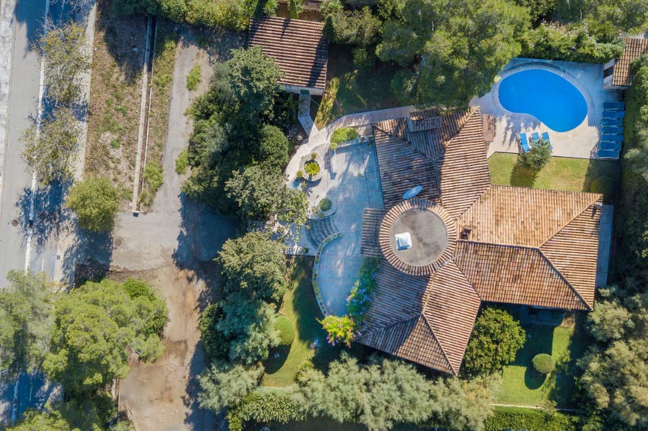 Falco Villa
