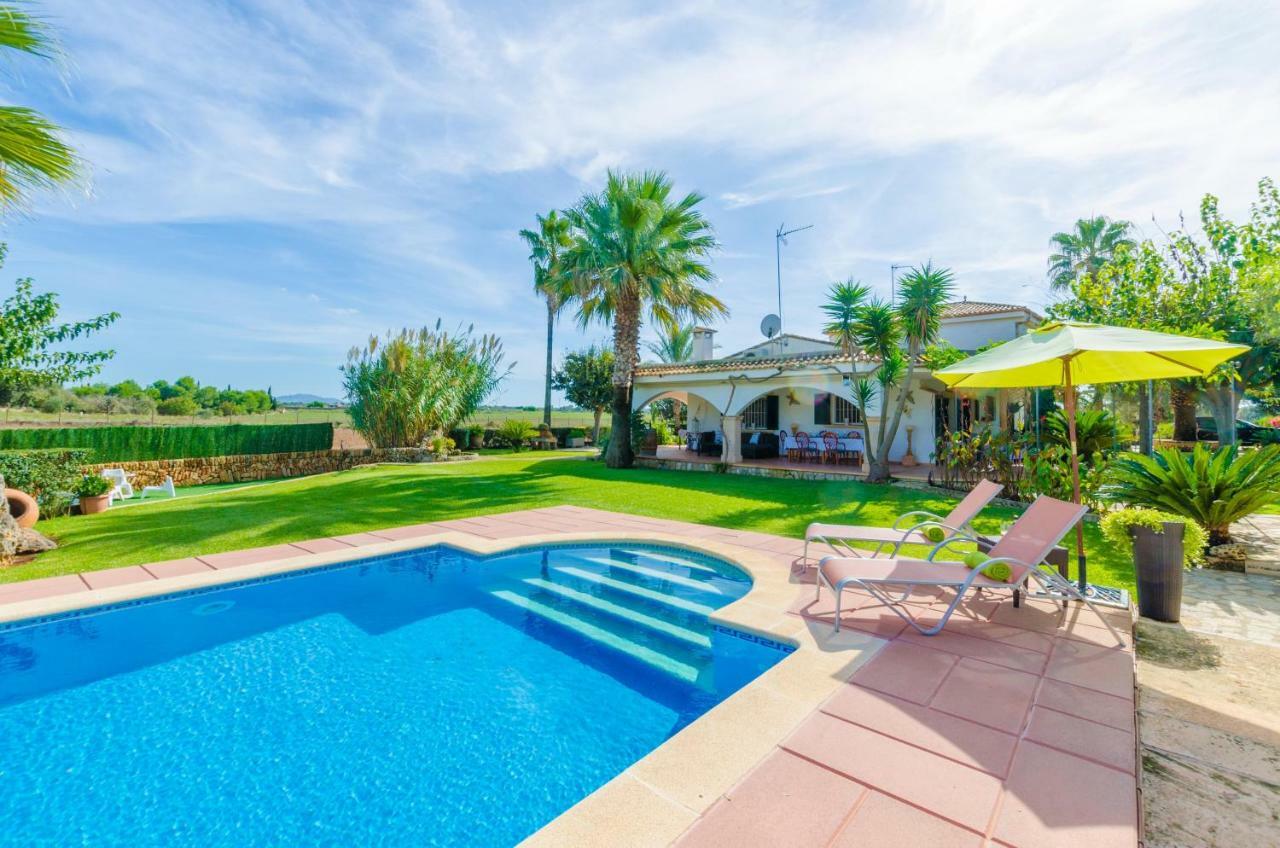 Santa Eulalia Petit