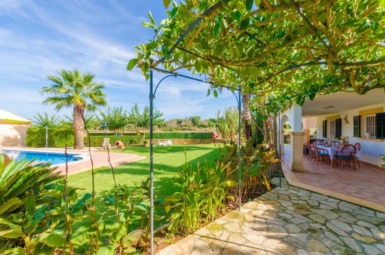 Villa Santa Eulalia Petit